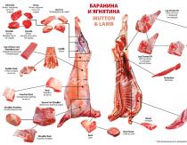 Польза и вред баранины для человеческого организма